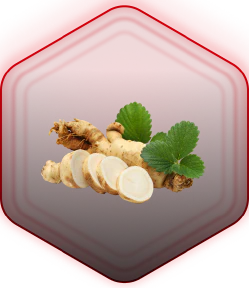 American Ginseng