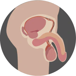 Before using the product